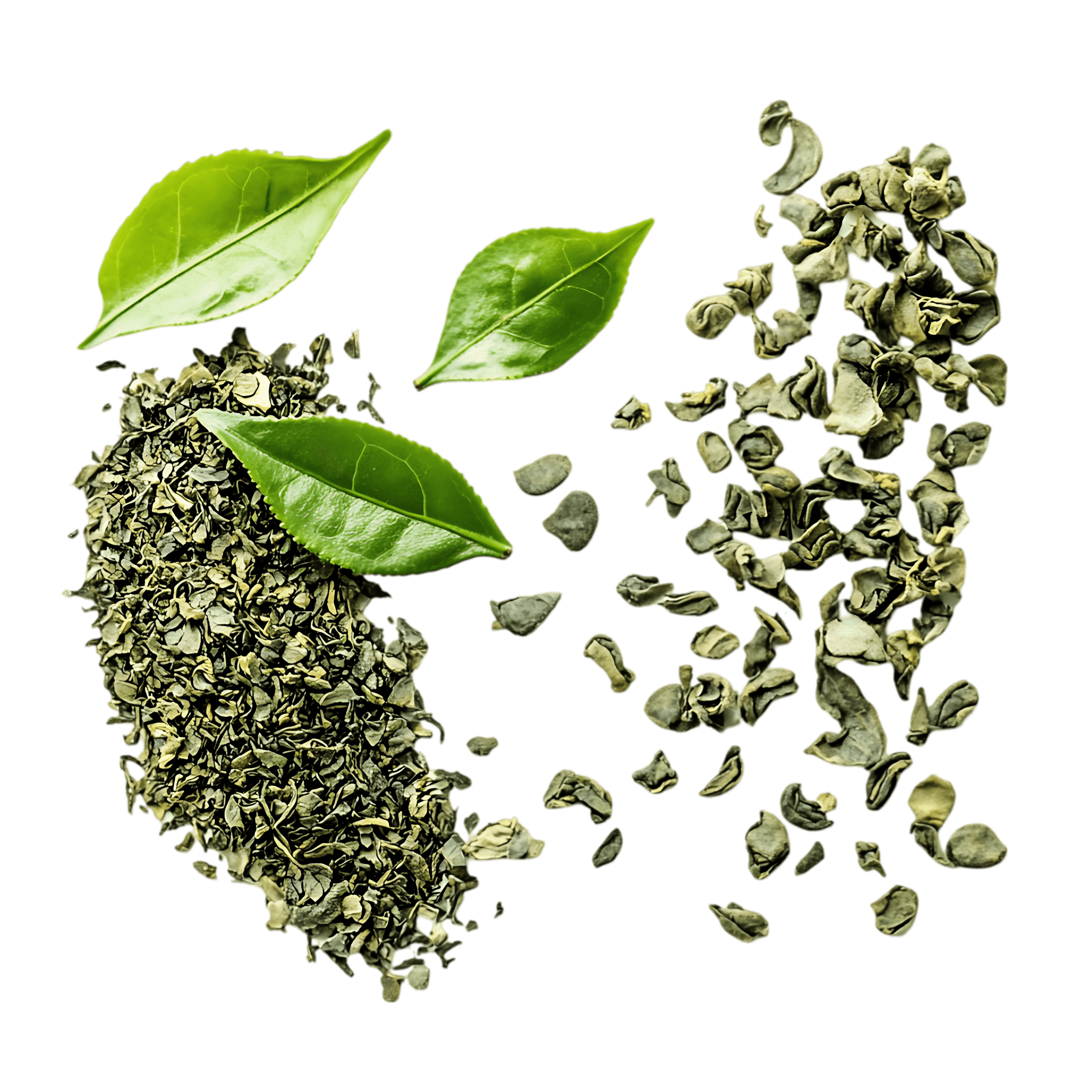 AdobeStock_1065782031-1-min