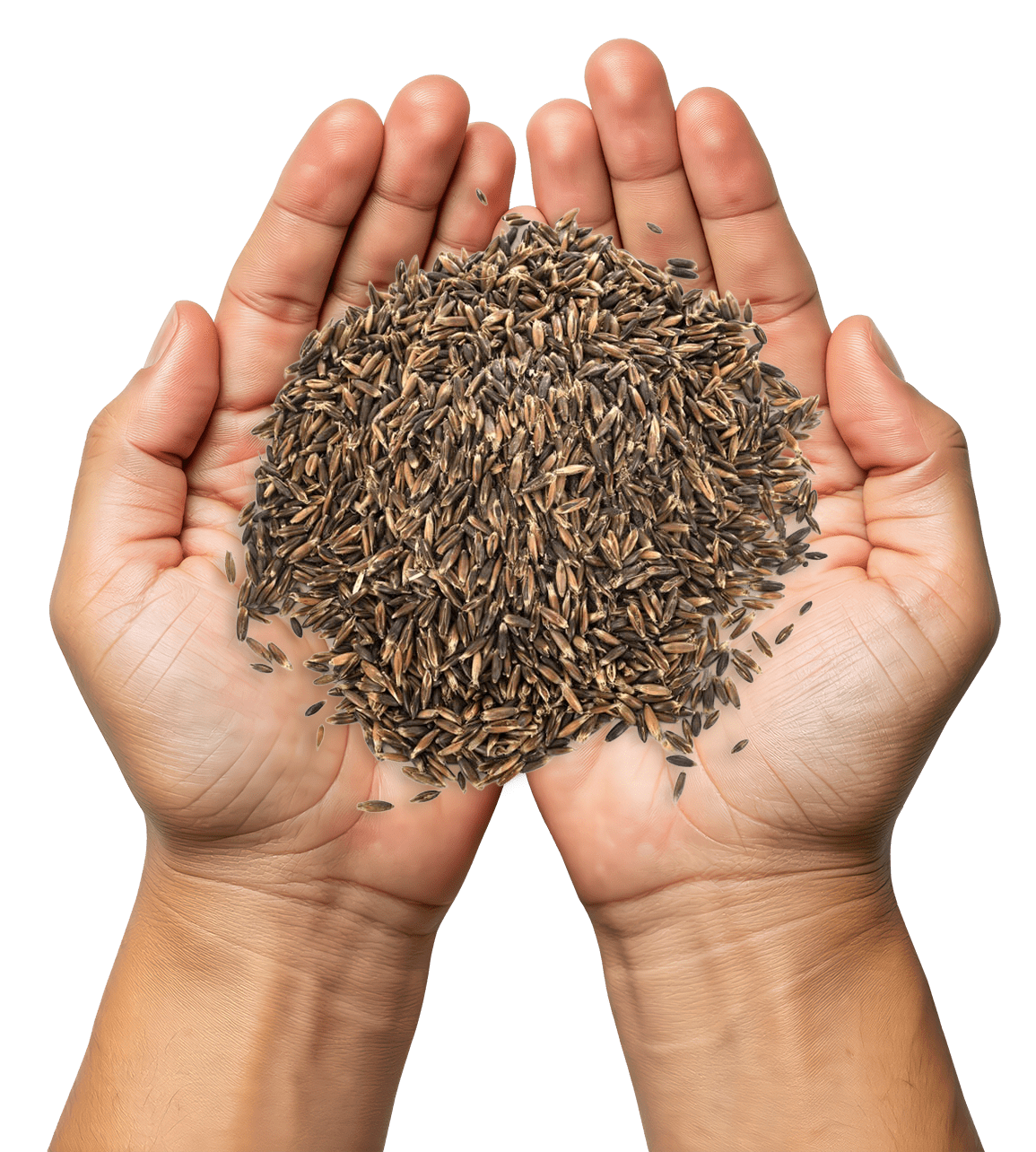 AdobeStock_1215574662