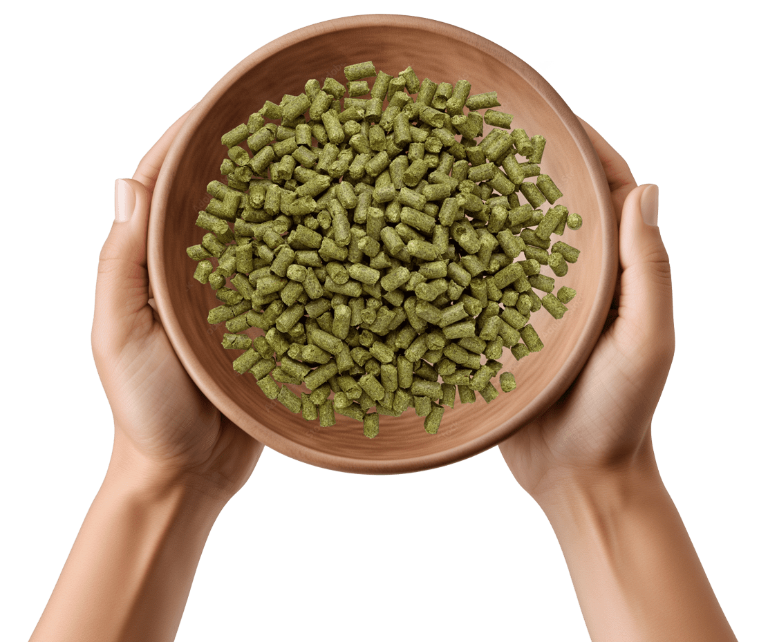 AdobeStock_1372523903