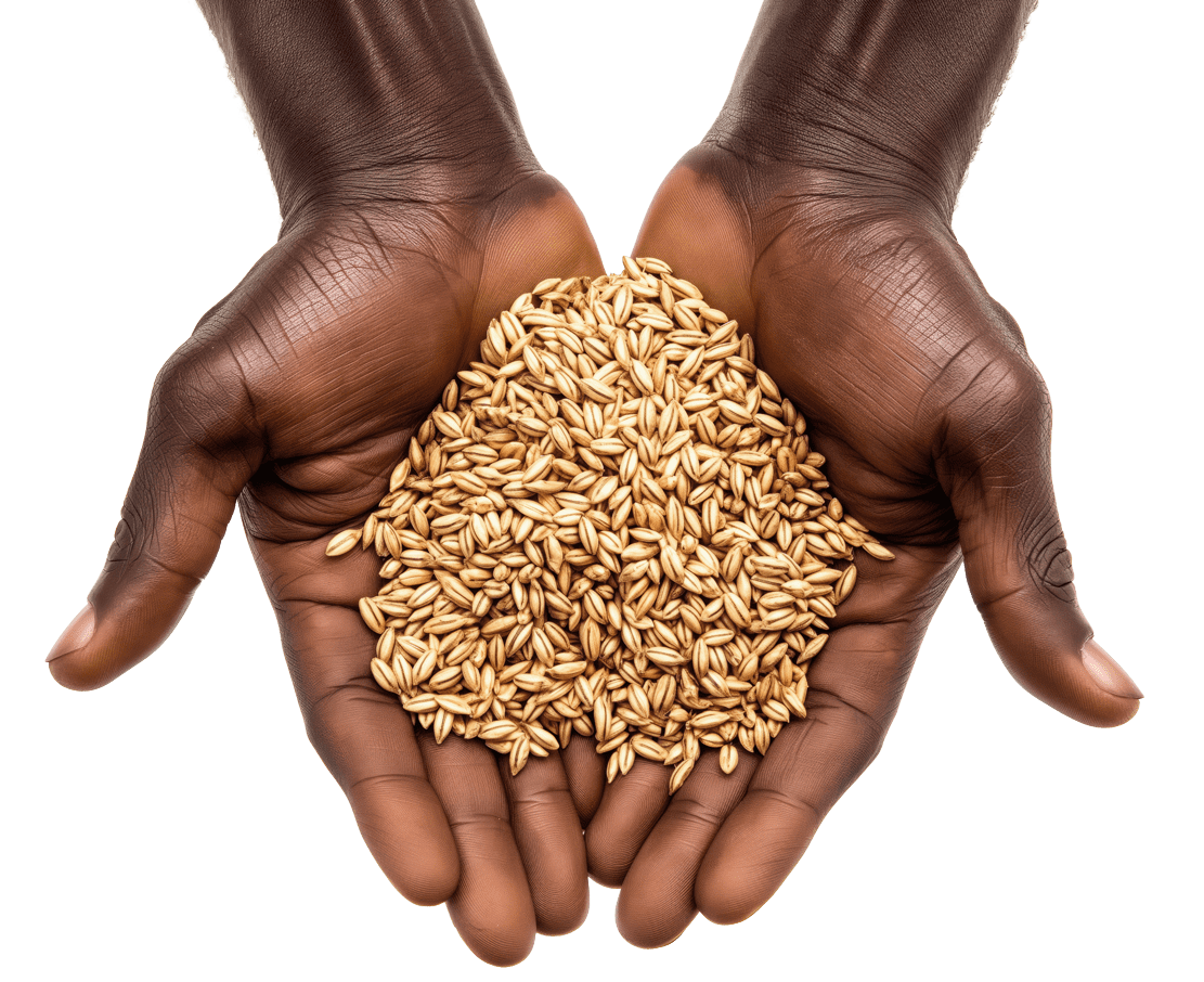 AdobeStock_901568859