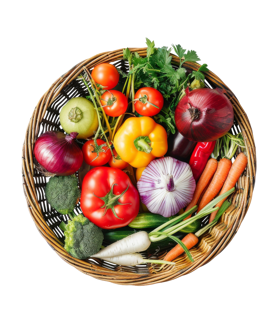 AdobeStock_935430389