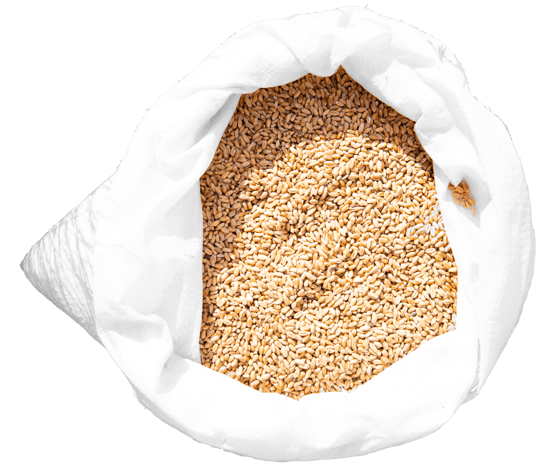 a-bag-of-wheat-on-a-background-of-yellow-grass-in-2025-01-09-06-24-00-utc