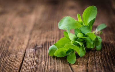 Guidelines for Natural Flavor Labeling with Stevia