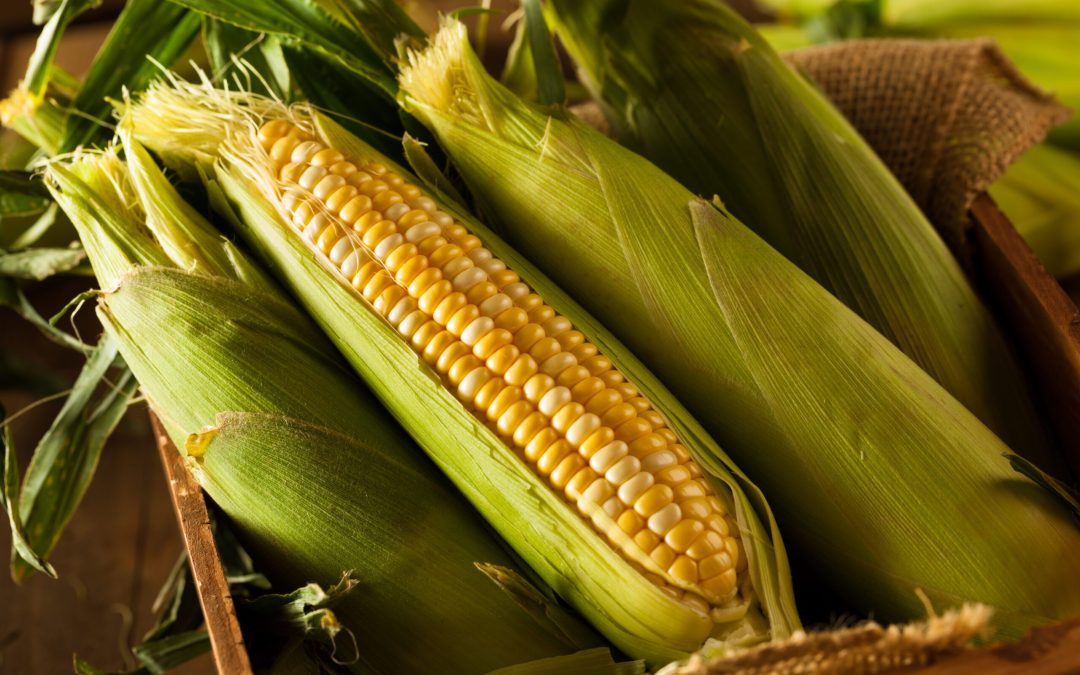 How to Use Inositol in Successful Product Applications